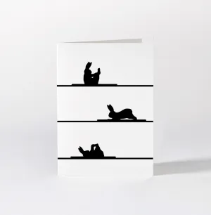 Pilates Rabbit Card